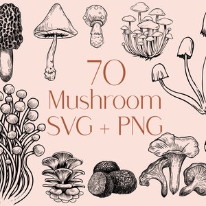 Mushroom SVG, Fungus Svg, SVG Files, Mushroom Clipart, Fungus Clipart, Shiitake Svg, Morel Svg, Truffle Svg, Trumpet Svg, Mushroom Tattoo
