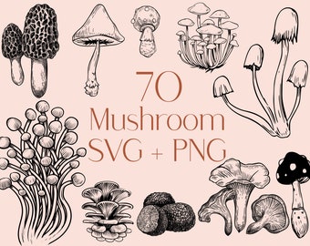 May include: A collection of 70 black and white line drawings of various mushrooms. The drawings are in a vintage style and include different types of mushrooms, such as chanterelles, morels, and shiitake.