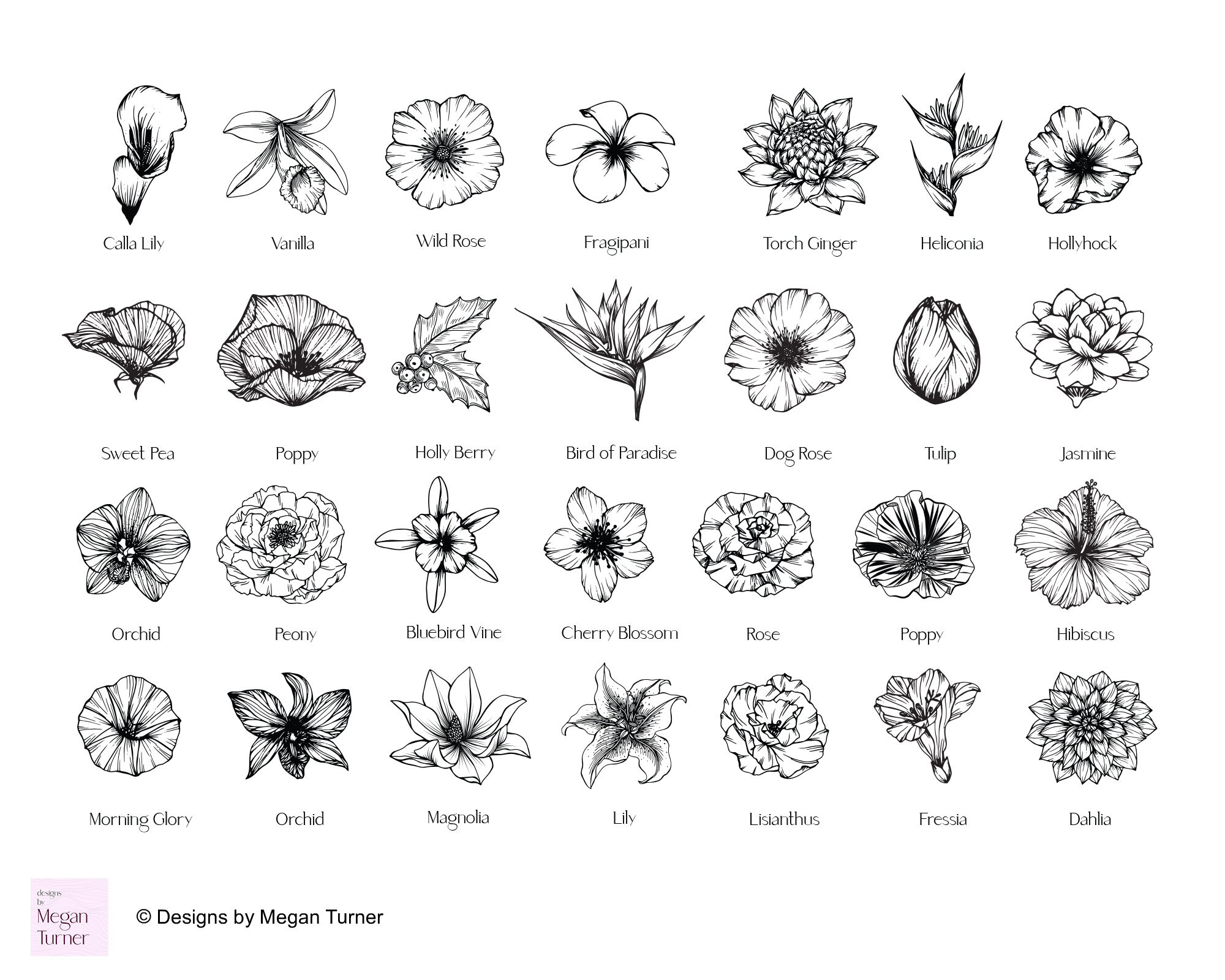 Birth Month Flower Stamps: Botanical Procreate Brushes (commercial Use ...