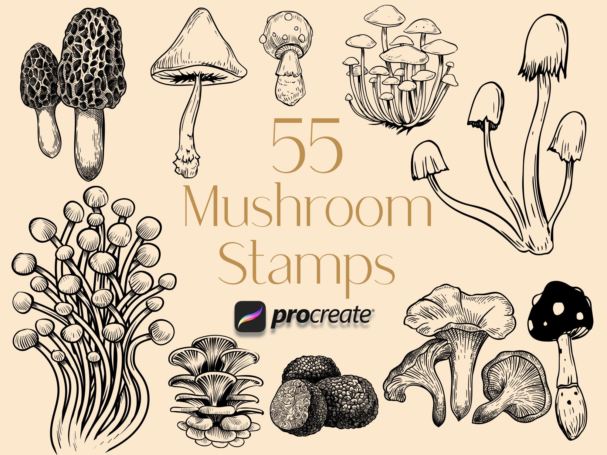 Mushroom Procreate Stamps Fungus Procreate Stamps Etsy
