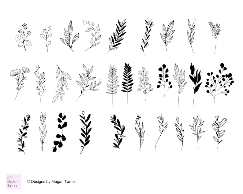 May include: A set of 30 black and white line art floral illustrations. The illustrations feature various types of leaves, branches, and flowers. The illustrations are perfect for adding a touch of nature to your designs.