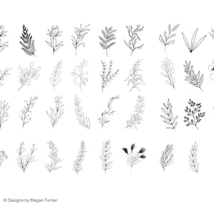 May include: A set of 40 black and white line drawings of various floral and leafy botanical elements. The drawings are simple and elegant, and would be perfect for use in wedding invitations, stationery, or other design projects.