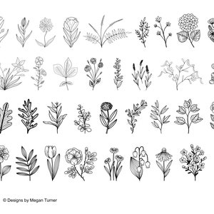 May include: A set of 30 black and white line drawings of various flowers and plants. The drawings are simple and elegant, and would be perfect for use in a variety of creative projects.