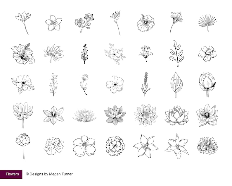 May include: A set of 40 black and white line drawings of various flowers, including hibiscus, lilies, and other floral designs. The drawings are simple and elegant, and would be perfect for use in a variety of creative projects.