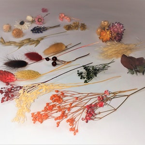 kit fiori secchi sfusi da 10 g per pot-pourri di candele di sapone in resina