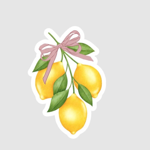 coquette lemons pink bow Sticker, magnet coquette preppy Vintage sticker, vinyl Holographic Girly trendy popular best seller