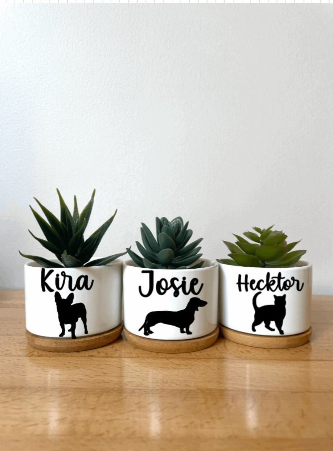 Custom Dog Breed Planter Cat Herb Garden Planter Cute Etsy