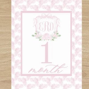 NUMÉRIQUES UNIQUEMENT Cartes jalons monogramme grand millénaire, petite fille rose nom personnalisé Crest Baby, bébé jalon floral preppy preppy mois