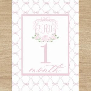 NUMÉRIQUES UNIQUEMENT Cartes d'étape rose grand millénaire, petite fille coquette prénom personnalisé Crest Baby, jalon floral preppy preppy du mois