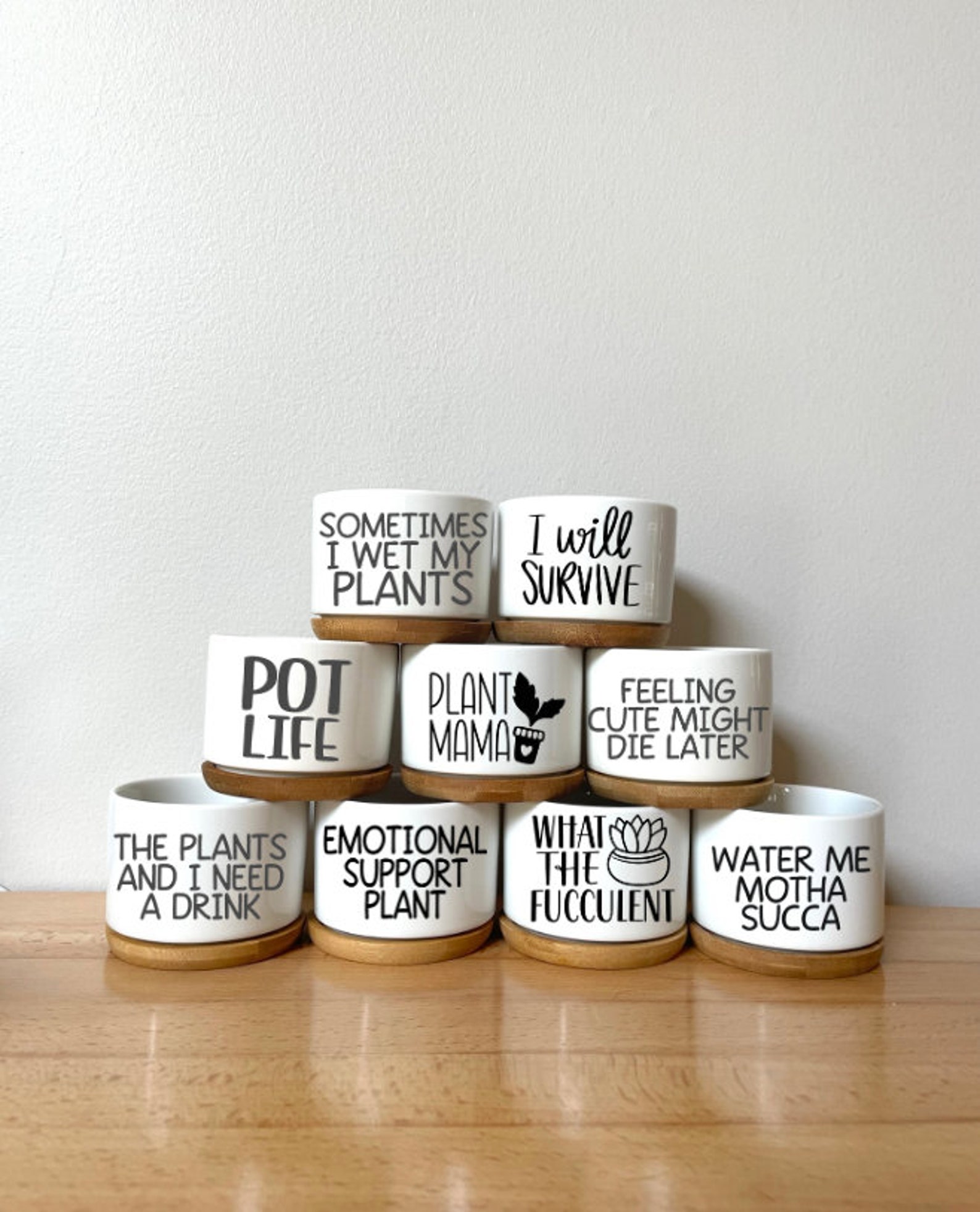 Funny Planter Pot, Herb Garden Planter, Plant Puns, Terracotta Pot ...