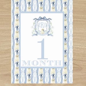 NUR DIGITAL Grandmillennial Monogramm Welpen Hund kundenspezifische Wappen-Baby-Meilenstein-Karten, 5 von 7 für Babyjungen preppymonat Meilenstein Baby preppy