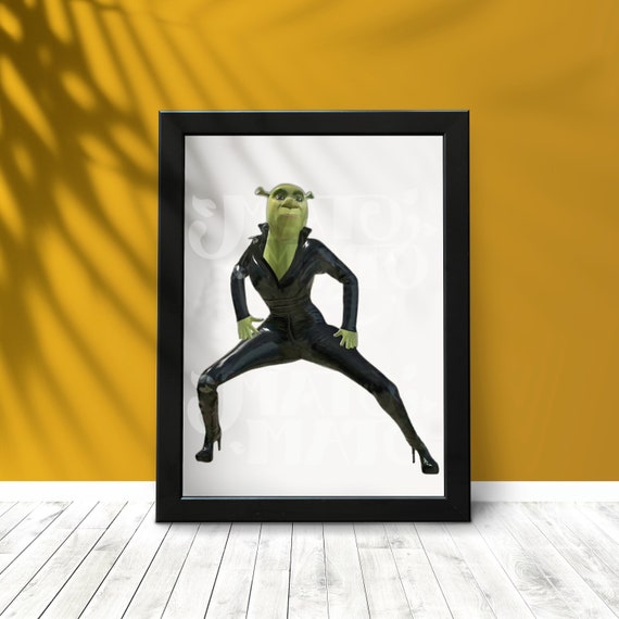 shrek froggie  Frog wallpaper, Frog pictures, Frog meme