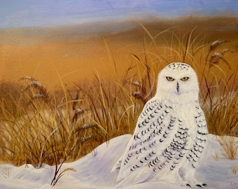 Snowy Owl original acrylic painting