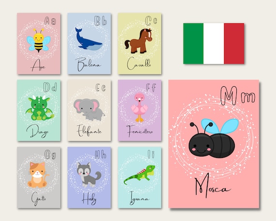 Italian Alphabet Abc Animal Flashcards Montessori Flash Etsy Australia