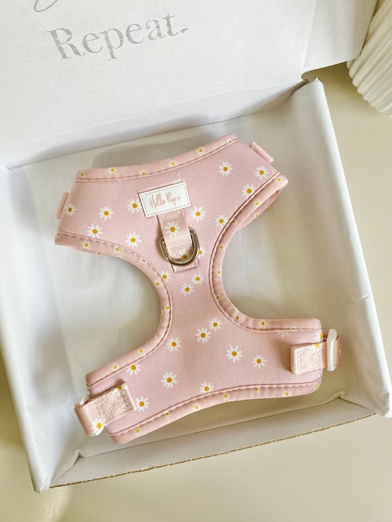 Oh Daisy Dog Harness Pink Girls Flower Etsy