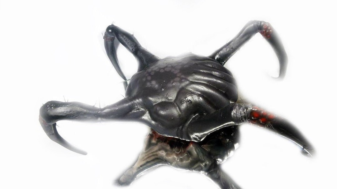 Headcrab Veleno Di Dimensioni Reali - Etsy