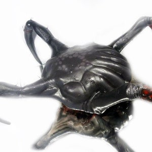 Headcrab Veleno di dimensioni reali