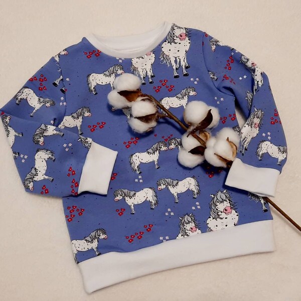 Babypullover Sweatshirt Pony Pünktchen Lillestoff