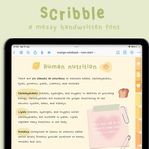 Police manuscrite « Scribble » pour la planification numérique/prise de notes | Écriture manuscrite désordonnée | Goodnotes / Police de notabilité | Étudier | StudioCherii