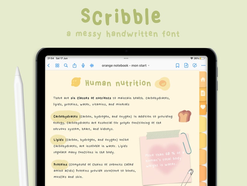 Handwriting Font Set for Digital Planning / Note-Taking | Value Bundle | Goodnotes / Notability Font | Studying | StudioCherii image 2