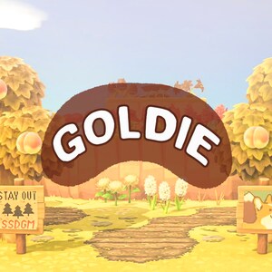 GOLDIE Lightroom Mobile Presest with vivid White Highlights