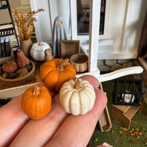 May include: Two miniature pumpkins, one orange and one off-white, each featuring a textured surface and a brown stem. The pumpkins are held in a hand, with a blurred background showing a dollhouse setting with a small basket, a ghost figure, and a black cage.