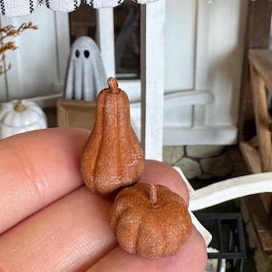 May include: Two miniature brown pumpkins with textured surfaces and small stems. One pumpkin is tall and elongated, while the other is round and squat. These tiny decorative items are shown in a scale suitable for dollhouse displays or small seasonal crafts.