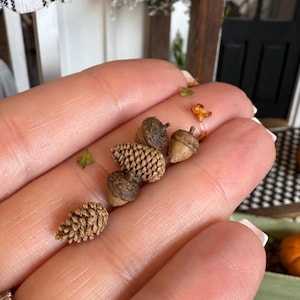 May include: A collection of miniature natural items including two small brown pinecones and three tiny acorns with textured caps, all resting together in a palm. The items are brown and tan in colour, showcasing detailed organic textures and shapes.