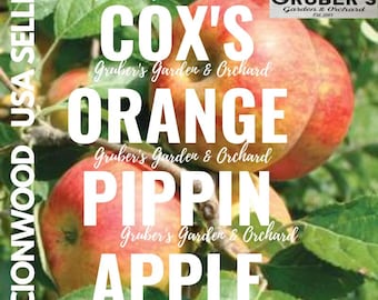 Puede incluir: Manzanas Cox's Orange Pippin colgando de una rama con hojas verdes. El texto dice: SCIONWOOD USA SELLER, GRUBER'S GARDEN & ORCHARD, COX'S ORANGE PIPPIN APPLE. Las manzanas tienen una piel roja y amarilla con un aspecto liso y redondo.