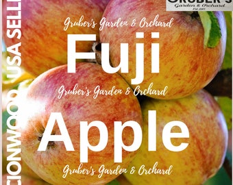 May include: A cluster of Fuji apples with red and yellow skin. Text overlays include 'Fuji Apple', 'Gruber's Garden & Orchard', 'Fresh Produce Picked Daily', and 'SCIONWOOD USA SELLER'. The apples are shown in a natural orchard setting.
