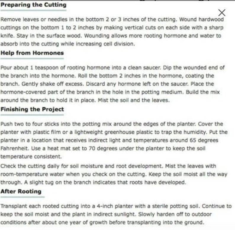 May include: A white informational document with black text providing instructions for plant propagation. The text includes sections titled Preparing the Cutting, Help from Hormones, Finishing the Project, and After Rooting, detailing steps for rooting cuttings.