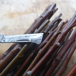 May include: A collection of thin, straight, reddish-brown wooden twigs bundled together, positioned alongside a folding pocket knife with a dark purple handle and a metallic blade featuring a distinct hooked tip for precision cutting tasks.