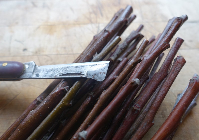 May include: A collection of thin, straight, reddish-brown wooden twigs bundled together, positioned alongside a folding pocket knife with a dark purple handle and a metallic blade featuring a distinct hooked tip for precision cutting tasks.