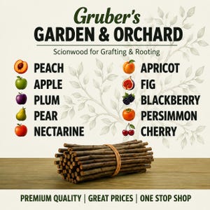 May include: A bundle of brown wooden scionwood sticks tied with a thin band, positioned below text reading Gruber's GARDEN & ORCHARD, Scionwood for Grafting & Rooting, and a list of fruits including peach, apple, plum, pear, nectarine, apricot, fig, blackberry, persimmon, and cherry.