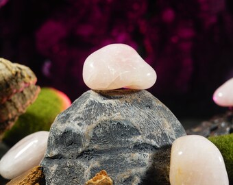 May include: Four pink rose quartz stones, two of which are on a gray rock, with a dark purple background.