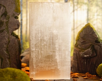 May include: A large, translucent, white selenite crystal slab with a rough, textured surface. The crystal is sitting on a wooden surface with some small, brown, dried leaves scattered around it.