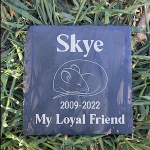 Peut inclure: Un mémorial pour animal de compagnie en ardoise noire avec le nom Skye gravé dessus. Le mémorial comprend également une petite silhouette de souris et les dates 2009-2022. Le texte "My Loyal Friend" est gravé sous les dates.