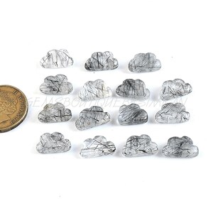 May include: A collection of 15 small, clear quartz cloud-shaped stones with black inclusions. The stones are arranged in three rows of five.