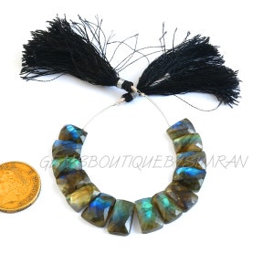 May include: A strand of faceted labradorite gemstone beads with a dark blue, green, and gold iridescent sheen. The beads are strung on a silver wire with black tassels at each end.