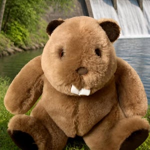 May include: A plush beaver toy with soft brown fur, dark brown rounded ears, and two prominent white front teeth. The stuffed animal is seated in an upright position, featuring a round head, a small brown nose, and dark brown paw pads.