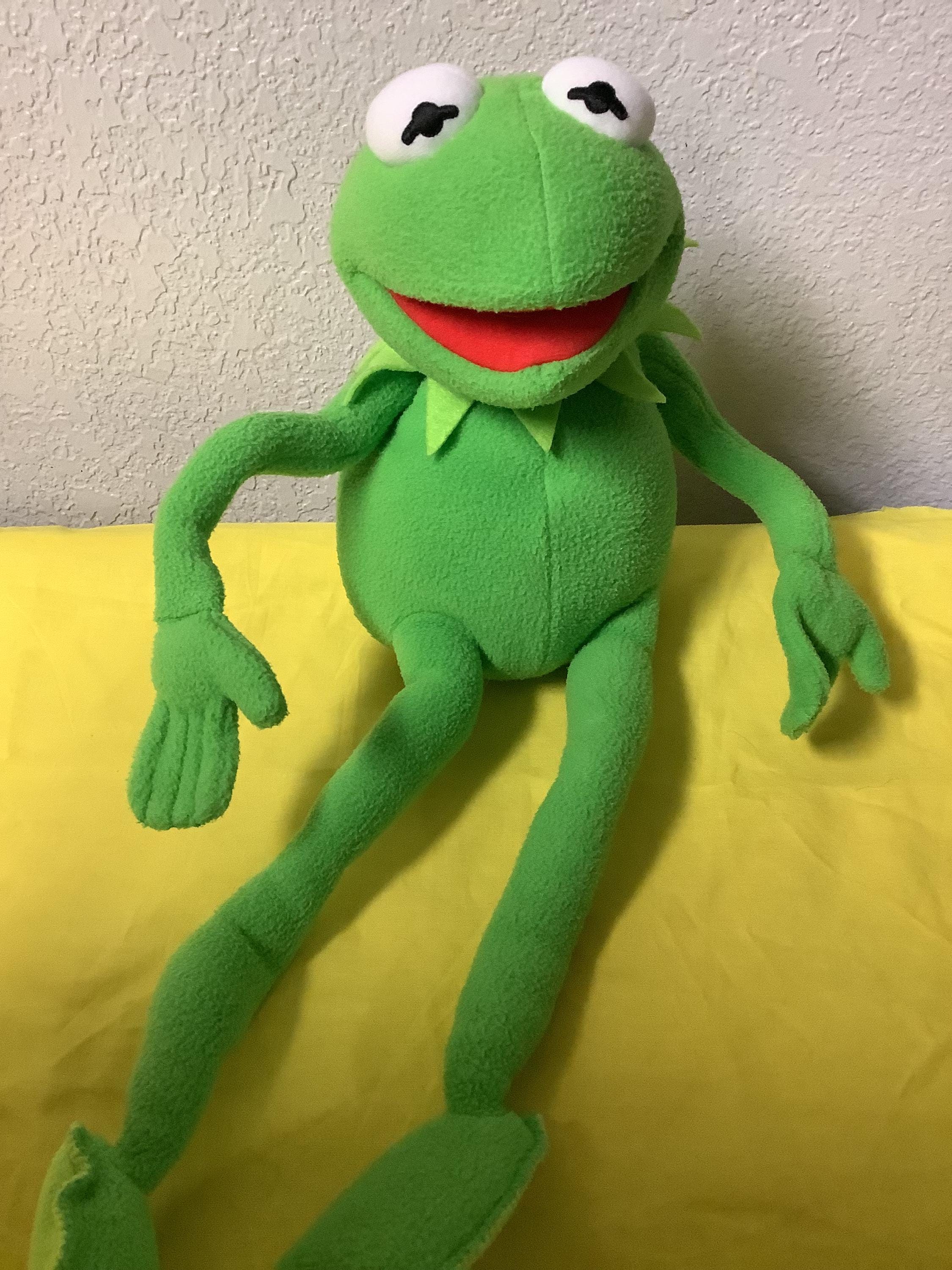 ディズニーのカーミット・ザ・フロッグのぬいぐるみ。ワイヤー