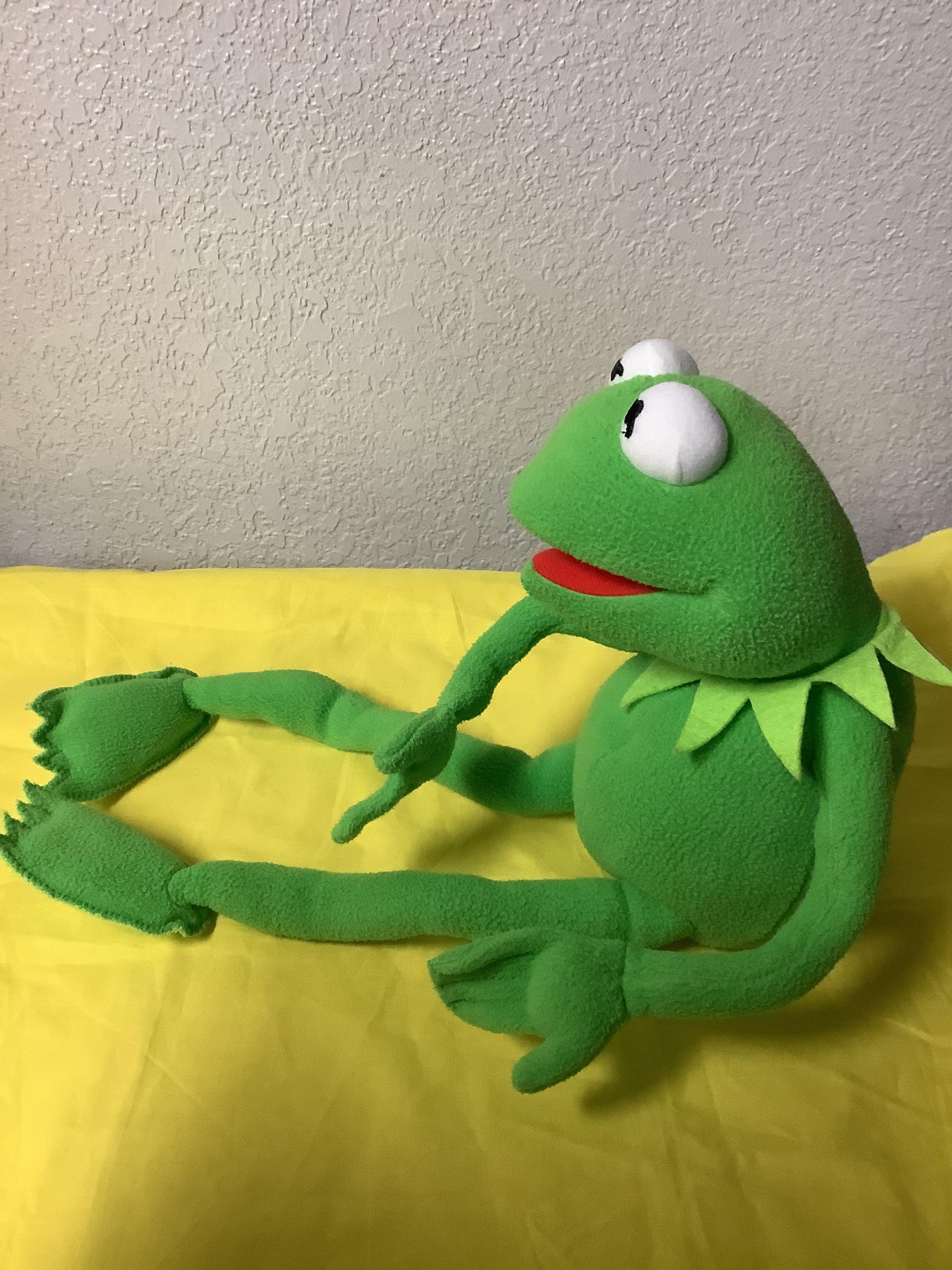 ディズニーのカーミット・ザ・フロッグのぬいぐるみ。ワイヤー入り