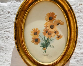 8.25" Small, Antique, Gilt, Wood, Gold Frame, Water Color, Yellow Flowers, Sunflowers, Print, Art