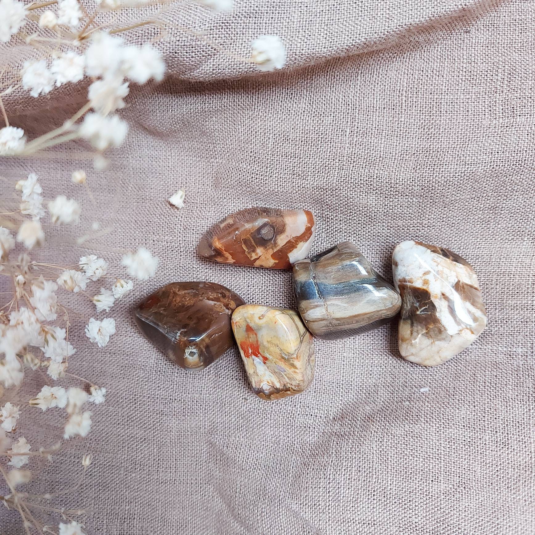 Bois Fossile Lithothérapie Pierres Roulées Ancrage Terre Méditation Qualité A