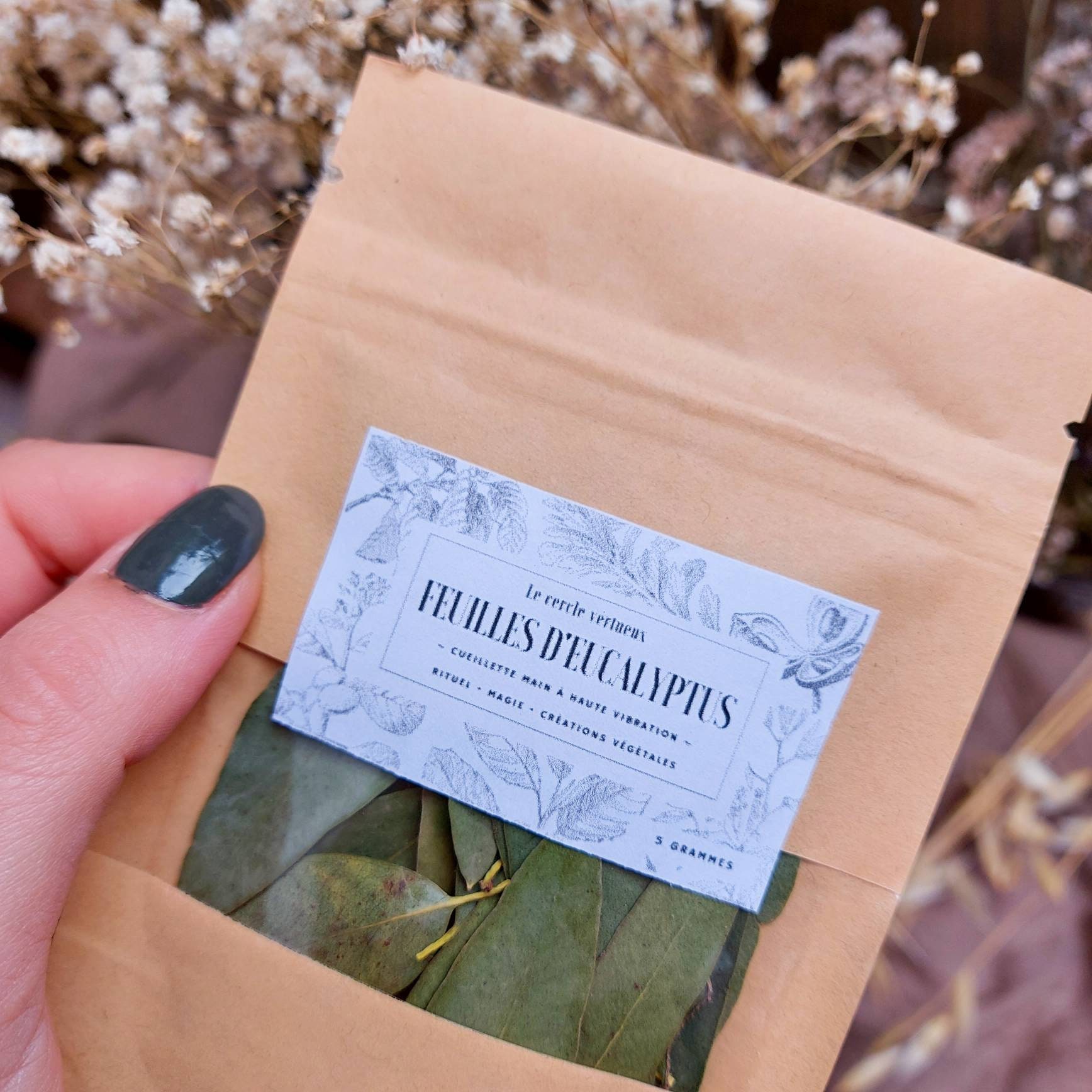 Feuilles d'eucalyptus Bio Local Hautes Vibrations Spell Jars Sorcellerie Créations Végétales