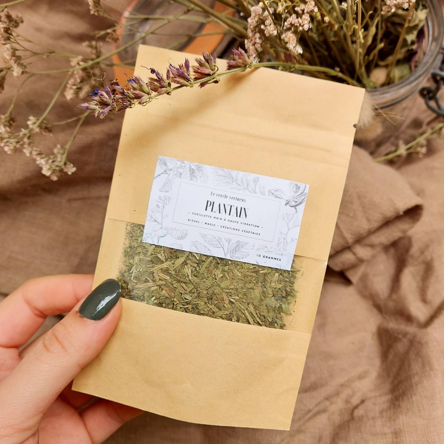 Poudre de Plantain Bio Local Hautes Vibrations Spell Jars Sorcellerie Créations Végétales