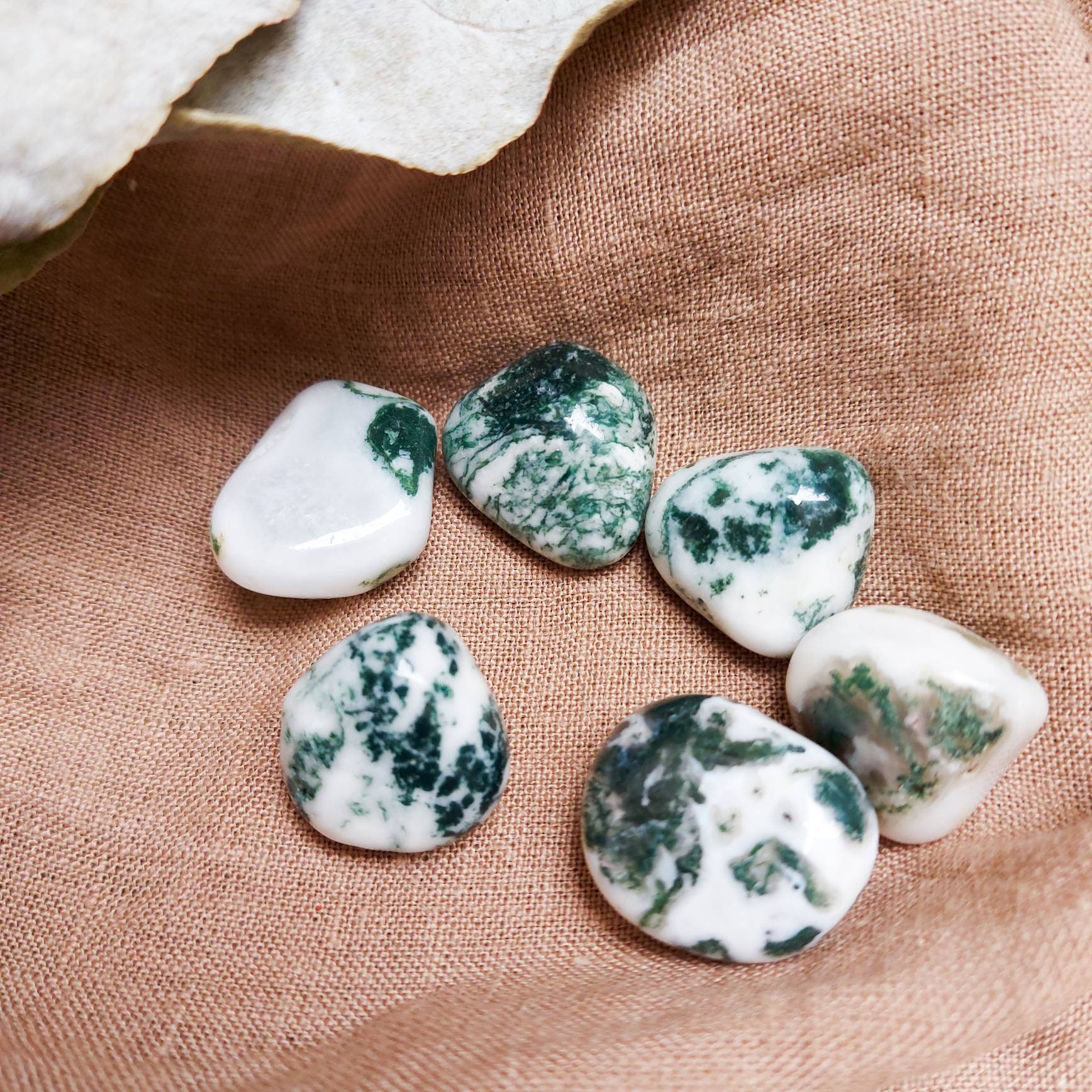 Agate Arbre Lithothérapie Pierres Roulée Ancrage et Équilibre Sérénité