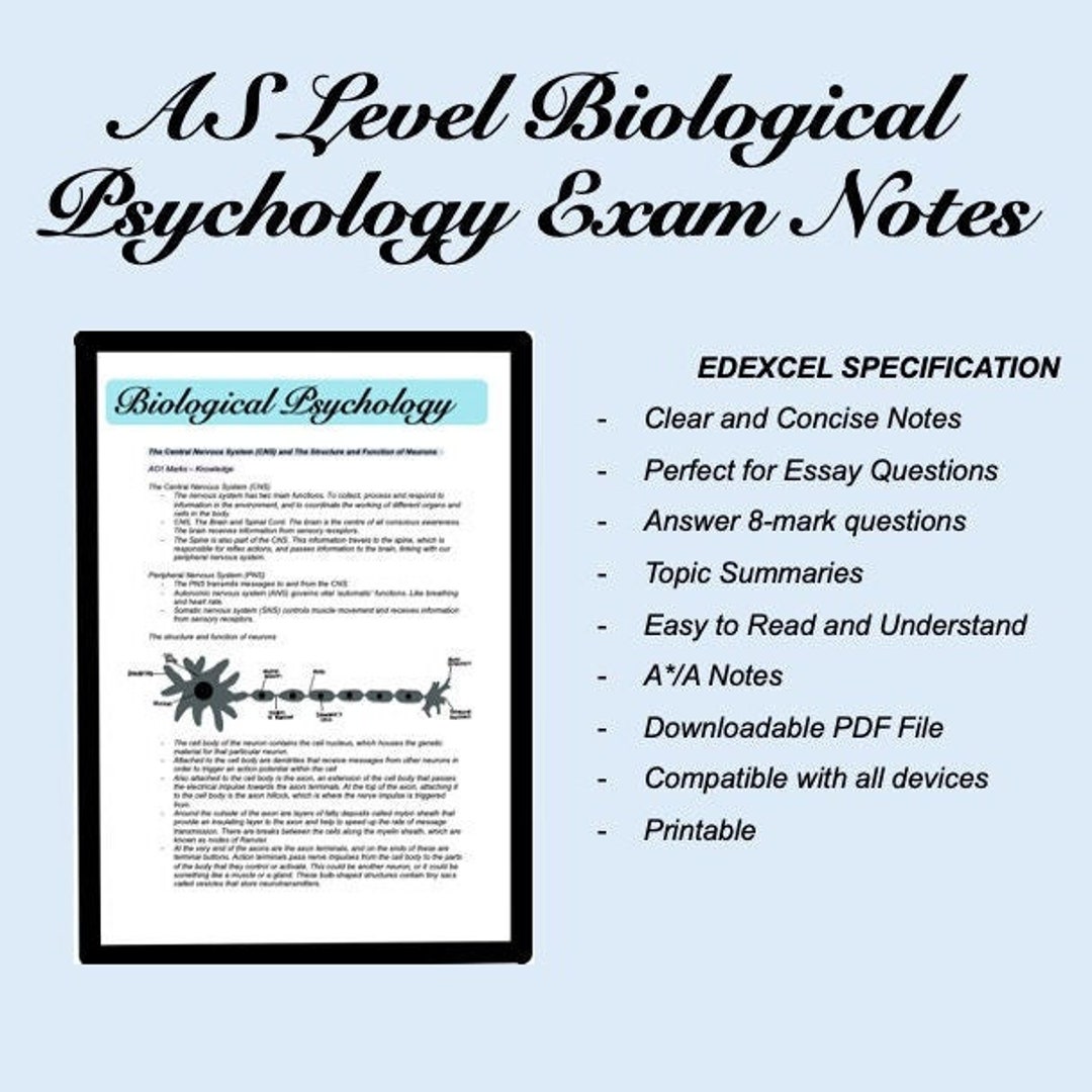 A Level Biological Psychology Edexcel Exam Notes Etsy UK