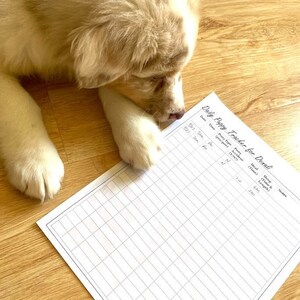 May include: A white and brown puppy dog is looking at a blank daily puppy tracker sheet with columns for date, time, potty type, accident, meal, sleep, and notes. The sheet has a grid pattern.