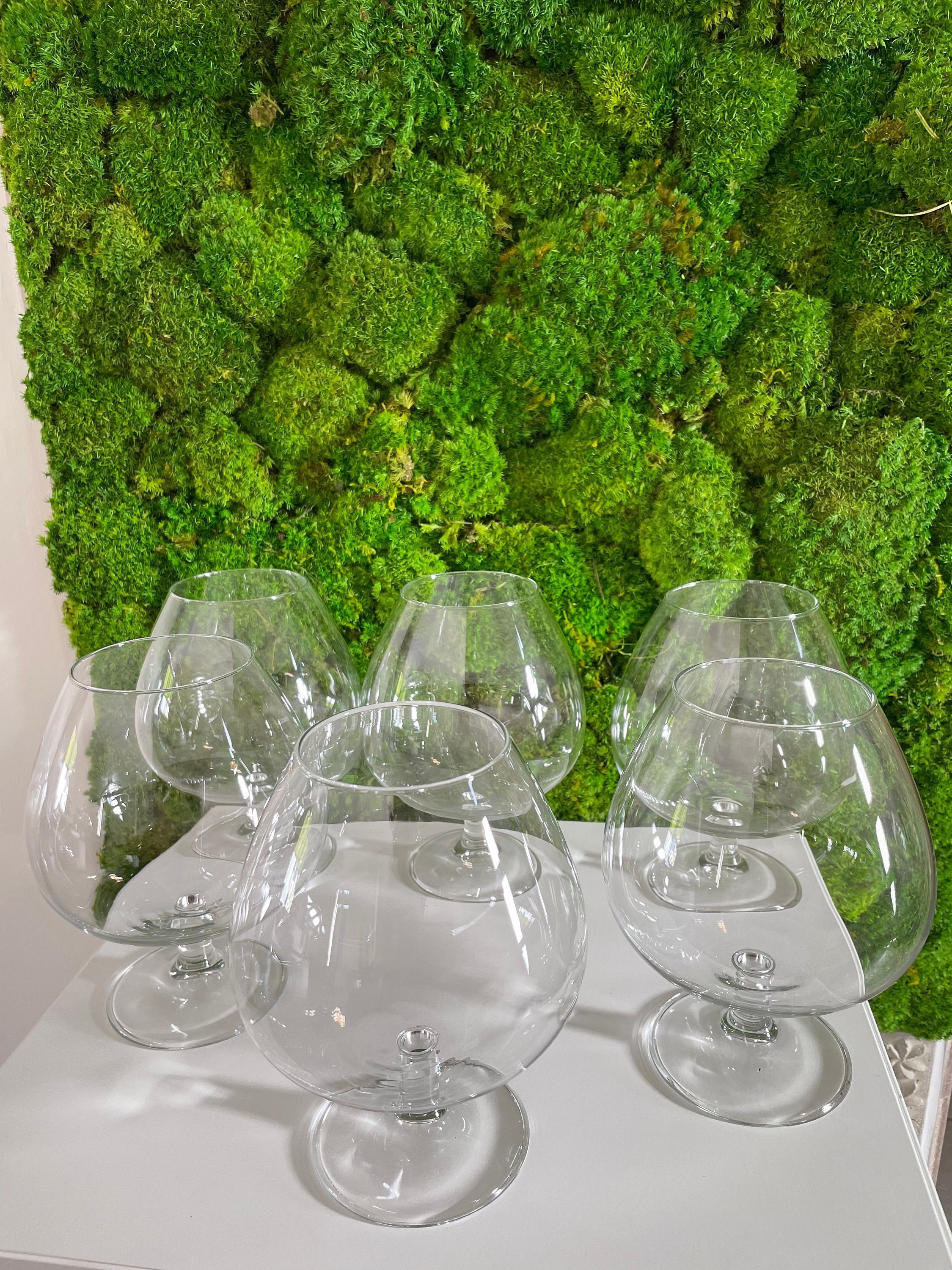 Coffret de 6 Grands Verres en Cristal Dégustation Vin ou d'alcool Type Brandy/Cognac. Verres La Marq